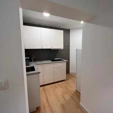 Apartment Loft Recien Reformado Enfrente Del Centro Botin