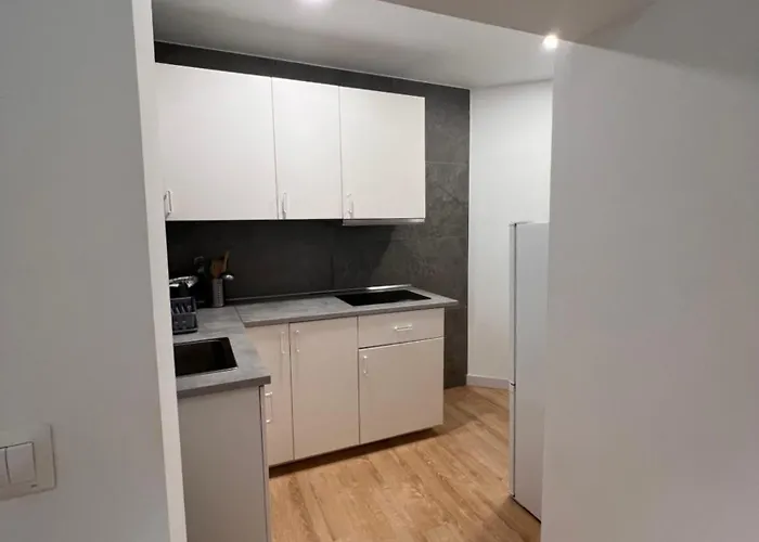 Apartman Loft Recien Reformado Enfrente Del Centro Botin