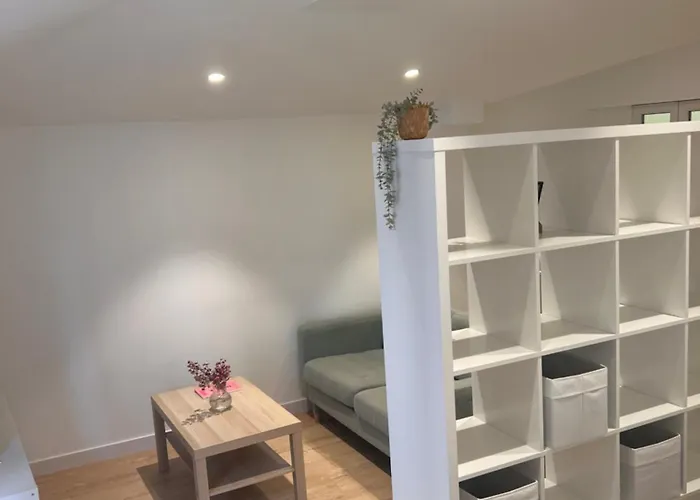 公寓 Loft Recien Reformado Enfrente Del Centro Botin 桑坦德